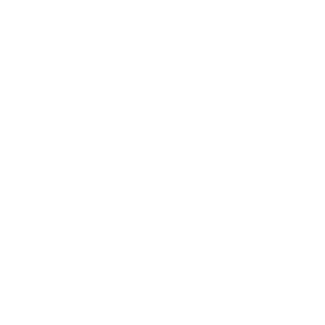 Logo-American-LH-blanco